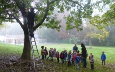 Pose d’un nichoir à mésange avec les petites et moyennes sections