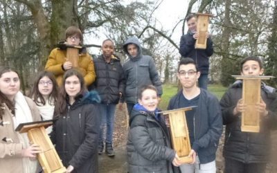 Construction de mangeoires à oiseaux par des élèves de 4e