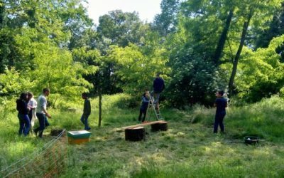 Fabrication de l’enclos pour les abeilles