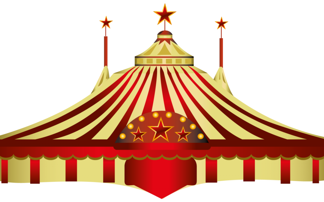 L’art du cirque : projet de l’ensemble Saint Jean de la Barre