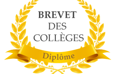 Objectif Brevet : 3ème