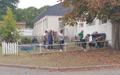 Les éco-délégués relancent le potager du collège